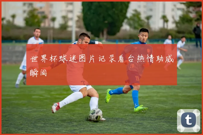 世界杯球迷图片记录看台热情助威瞬间