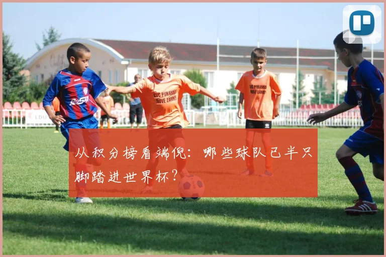 从积分榜看端倪：哪些球队已半只脚踏进世界杯？