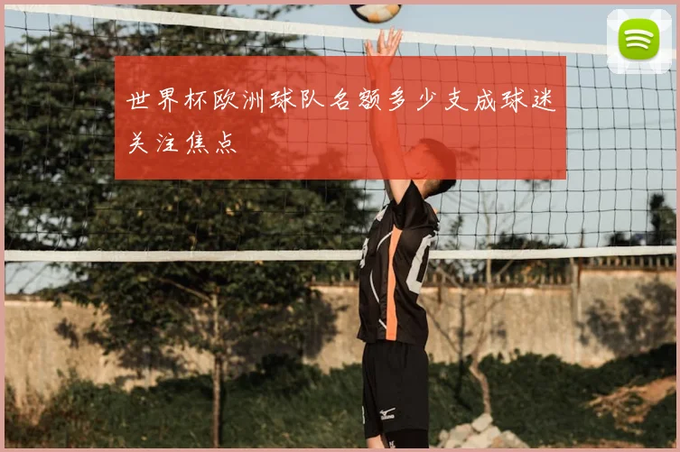 世界杯欧洲球队名额多少支成球迷关注焦点