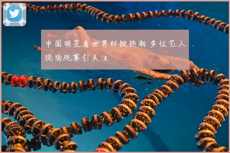 中国明星看世界杯掀热潮 多位艺人现场观赛引关注