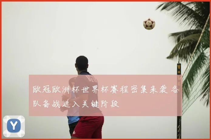 欧冠欧洲杯世界杯赛程密集来袭 各队备战进入关键阶段