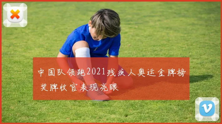 中国队领跑2021残疾人奥运金牌榜 奖牌收官表现亮眼