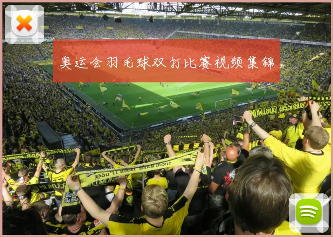 奥运会羽毛球双打比赛视频集锦