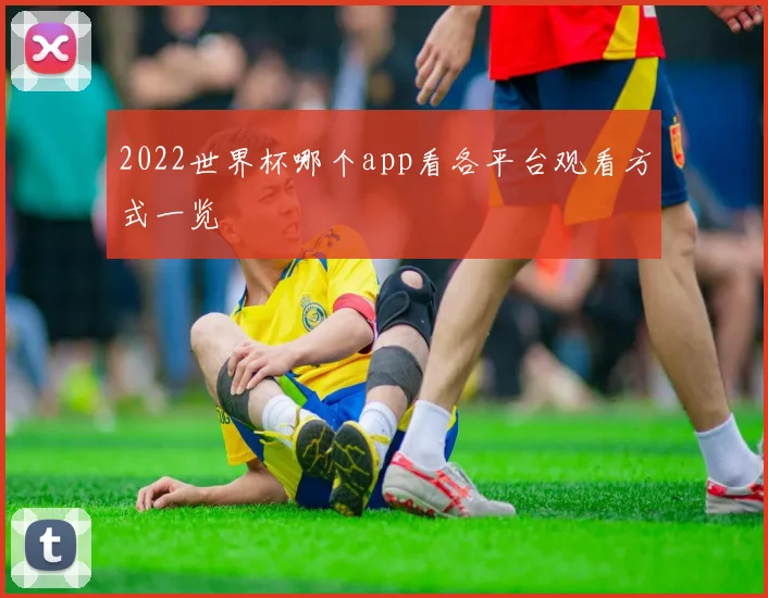 2022世界杯哪个app看各平台观看方式一览