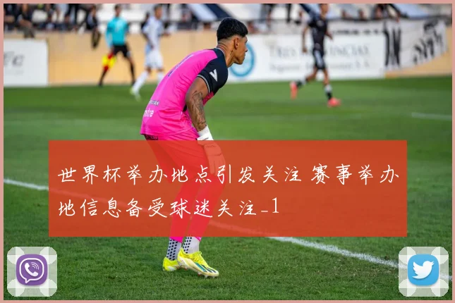 世界杯举办地点引发关注 赛事举办地信息备受球迷关注_1