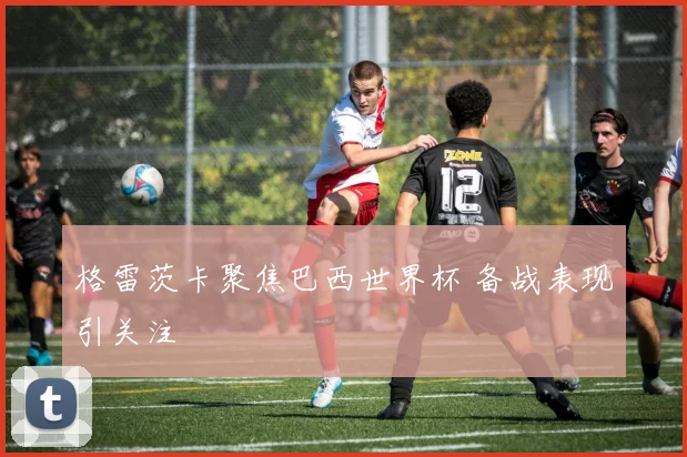 格雷茨卡聚焦巴西世界杯 备战表现引关注